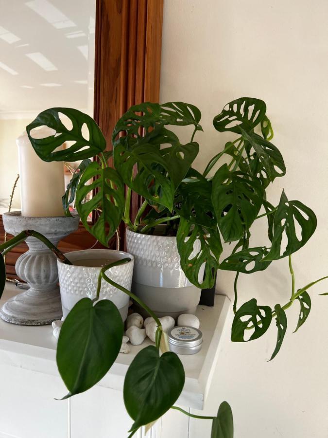 Flavian House Bed and Breakfast Chichester Buitenkant foto